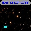 IRAS 19127+1236