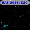 IRAS 19161+1202