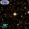 TYC 1049-1306-1