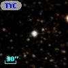 TYC 1053-1503-1