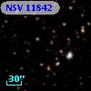 NSV 11842