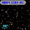 HBHA 1203-02