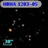 HBHA 1203-05