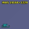 IRAS 19164+1229
