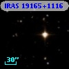 IRAS 19165+1116