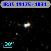 IRAS 19175+1031
