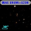 IRAS 19198+1239