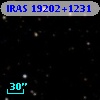 IRAS 19202+1231