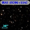 IRAS 19206+1142