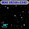 IRAS 19219+1142