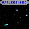 IRAS 19236+1132