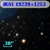 IRAS 19239+1253