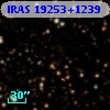 IRAS 19253+1239