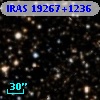 IRAS 19267+1236