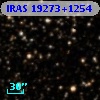 IRAS 19273+1254
