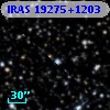 IRAS 19275+1203