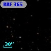 RRF  365
