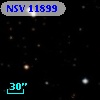 NSV 11899