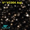 V* V1004 Aql