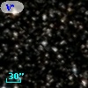 V* V631 Aql