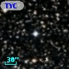 TYC 1064-969-1