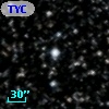 TYC 1064-2803-1
