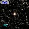 TYC 1064-3115-1
