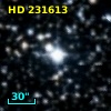 HD 231613