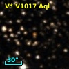 V* V1017 Aql