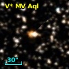 V* MV Aql