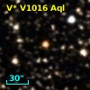 V* V1016 Aql