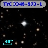 TYC 3348-873-1