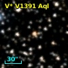 V* V1391 Aql