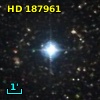 V* V1466 Aql