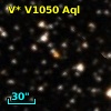 V* V1050 Aql