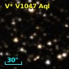 V* V1047 Aql