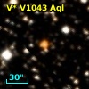 V* V1043 Aql