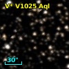 V* V1025 Aql