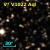 V* V1022 Aql