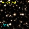 V* OY Aql