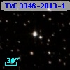 TYC 3348-2013-1