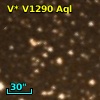 V* V1290 Aql
