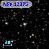 NSV 12375