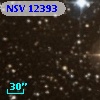 NSV 12393