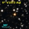 V* V1073 Aql