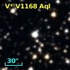 V* V1168 Aql