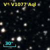 V* V1077 Aql