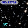 NSV 12724