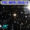 TYC 1079-2813-1