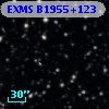 EXMS B1955+123